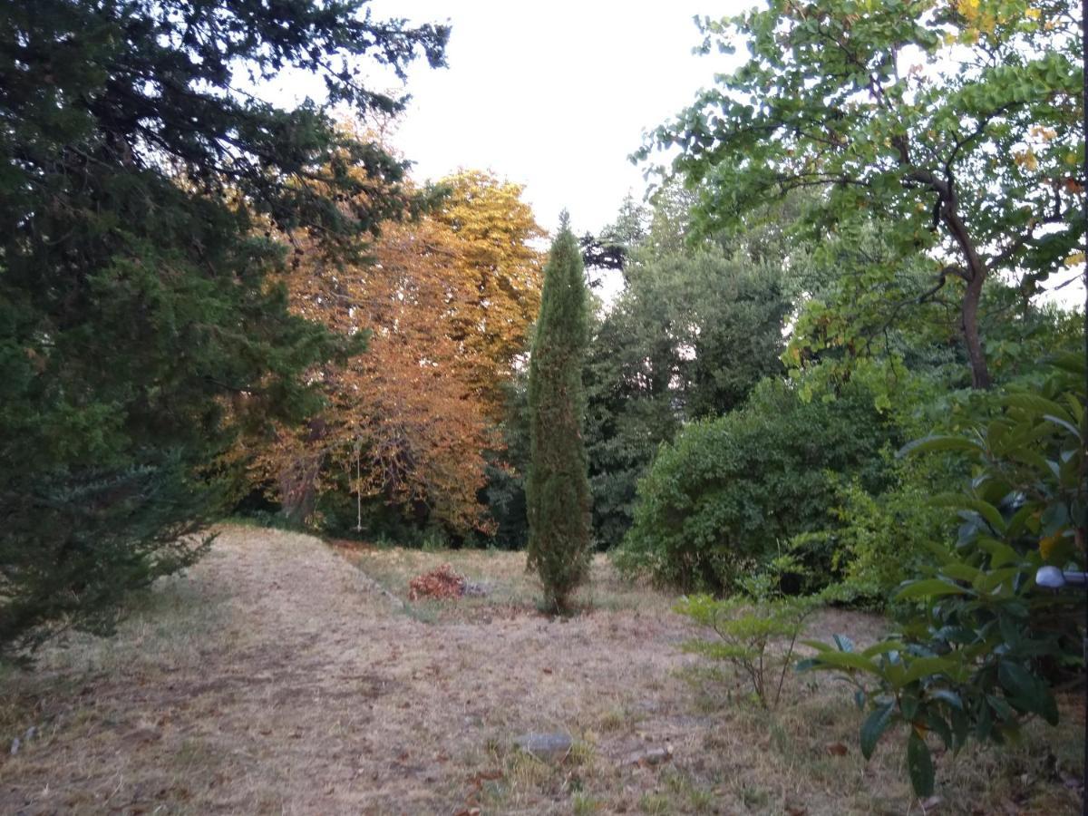 דירות בנקובאץ Jankovich Castle מראה חיצוני תמונה
