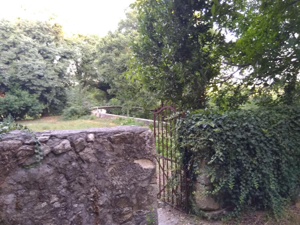 דירות בנקובאץ Jankovich Castle מראה חיצוני תמונה