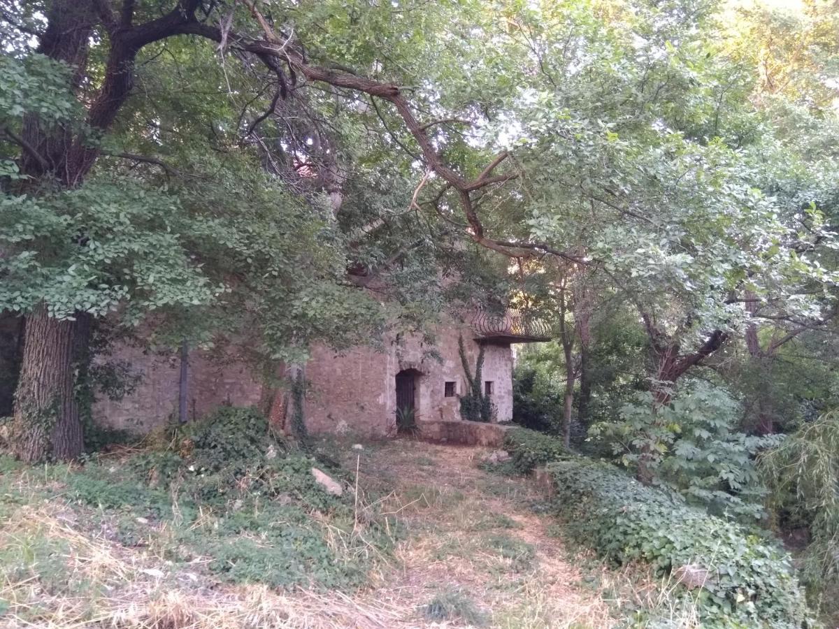 דירות בנקובאץ Jankovich Castle מראה חיצוני תמונה