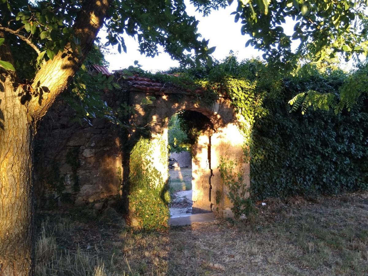 דירות בנקובאץ Jankovich Castle מראה חיצוני תמונה
