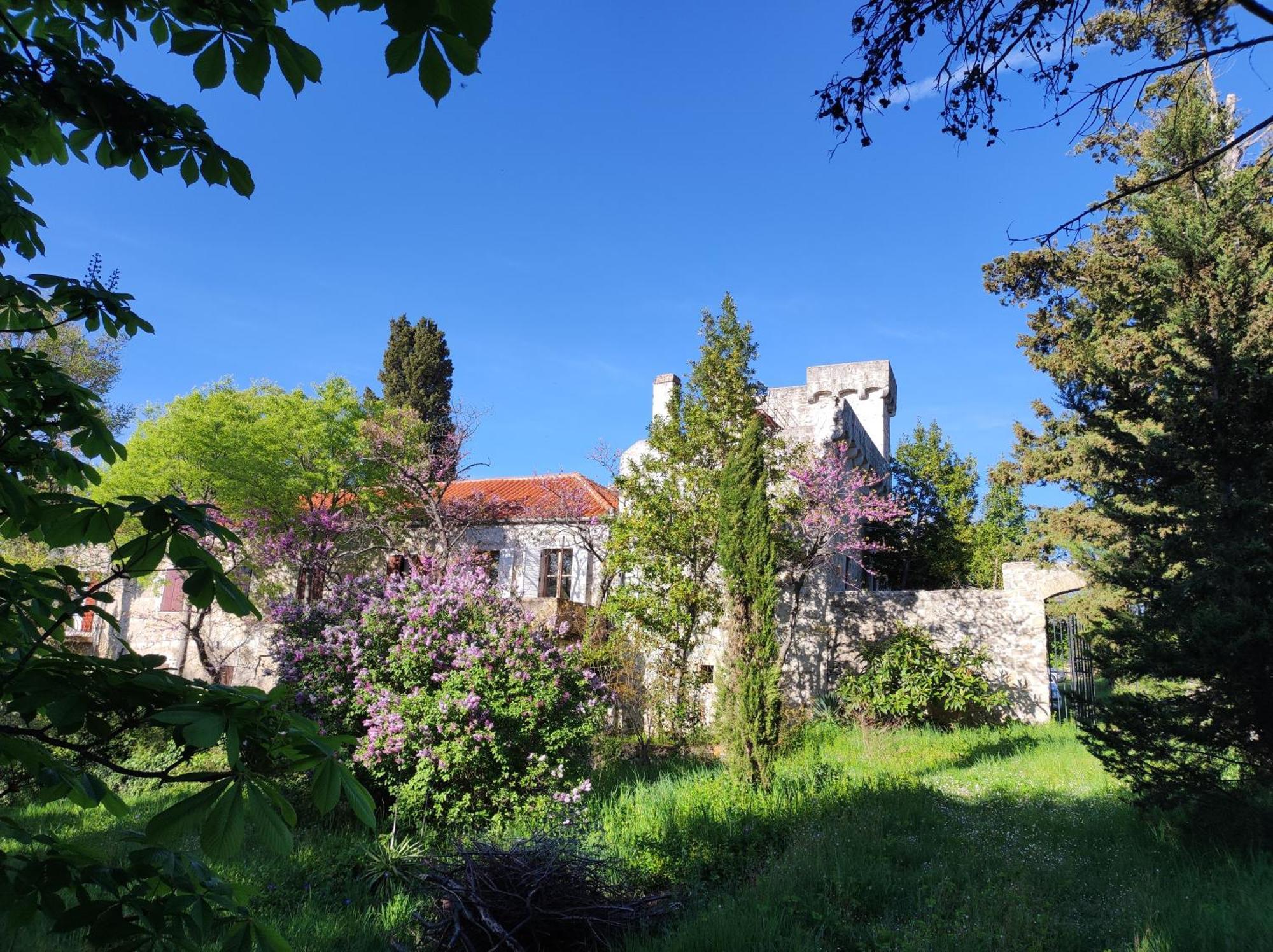 דירות בנקובאץ Jankovich Castle מראה חיצוני תמונה