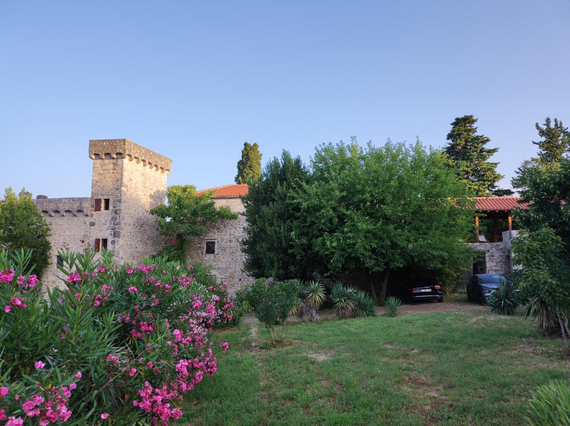דירות בנקובאץ Jankovich Castle מראה חיצוני תמונה
